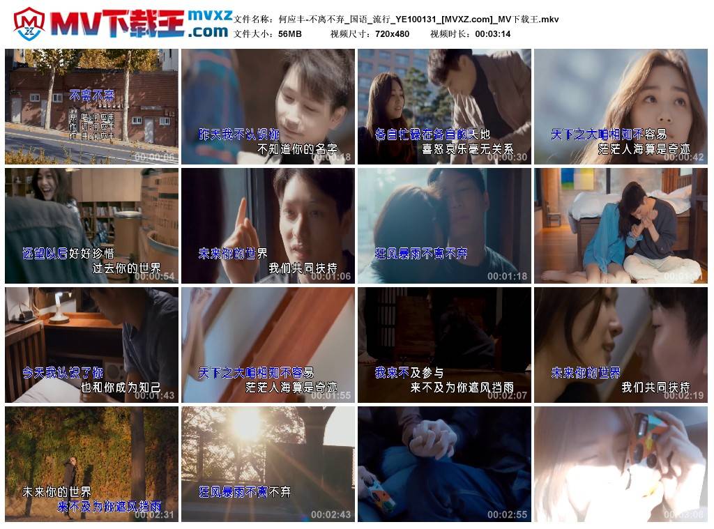 何应丰-不离不弃_国语_流行_YE100131